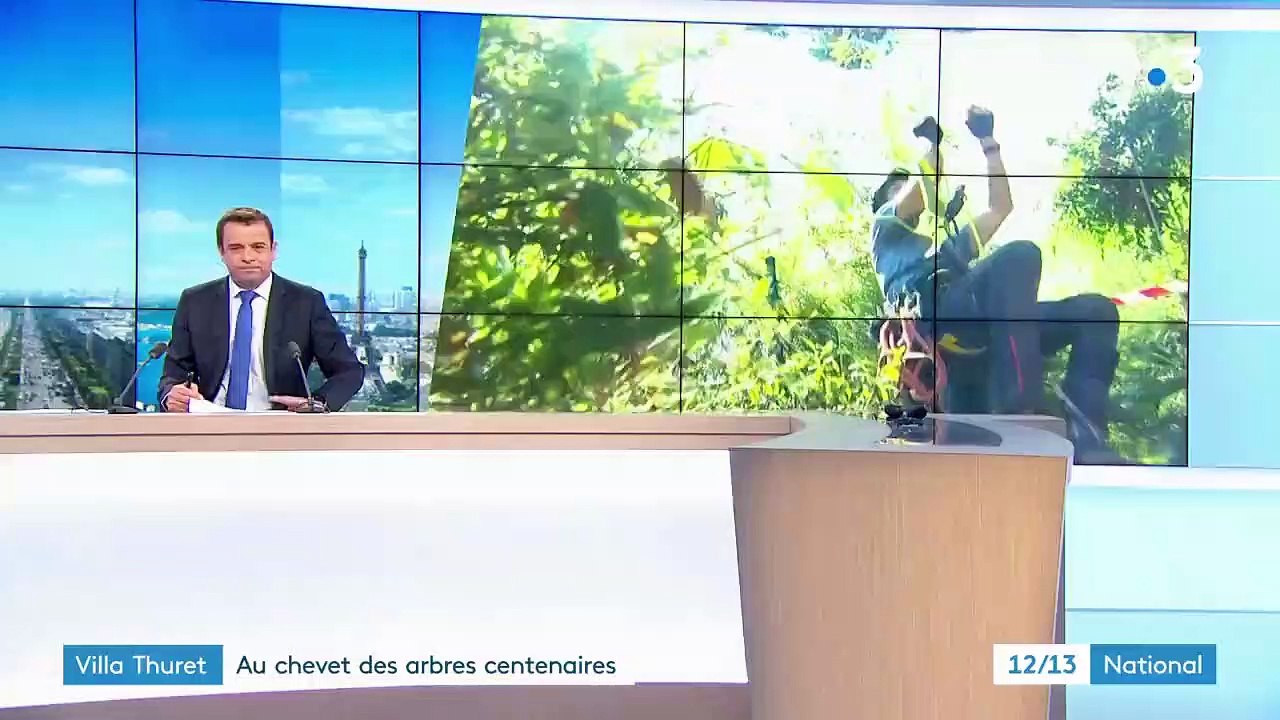 Alpes-Maritimes : opération rafraîchissement pour les arbres centenaires de la villa Thuret