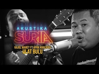 Kajol Marey X Apak Khalifah - Ulat Bulu #AkustikaSuria