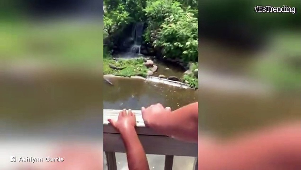Mujer arriesgó su vida al meterse a un lago lleno de cocodrilos solo para recuperar su billetera