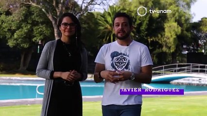 5 por CINCO_Creaturas de la noche (T1 E1) Versión2 Extendida Audio para Teléfono