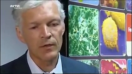 Profiteure der Angst - Impfstoff-Marketing mit erfundenen Pandemien -  ARTE 2009