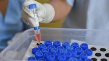 60-65 per cent Covid-19 antigen test false negative: BMC lab