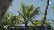 Martinique : les plages menacées de disparition