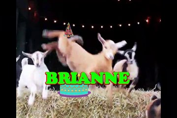 Happy Birthday Brianne - Brianne's Birthday Song - Brianne's Birthday Party