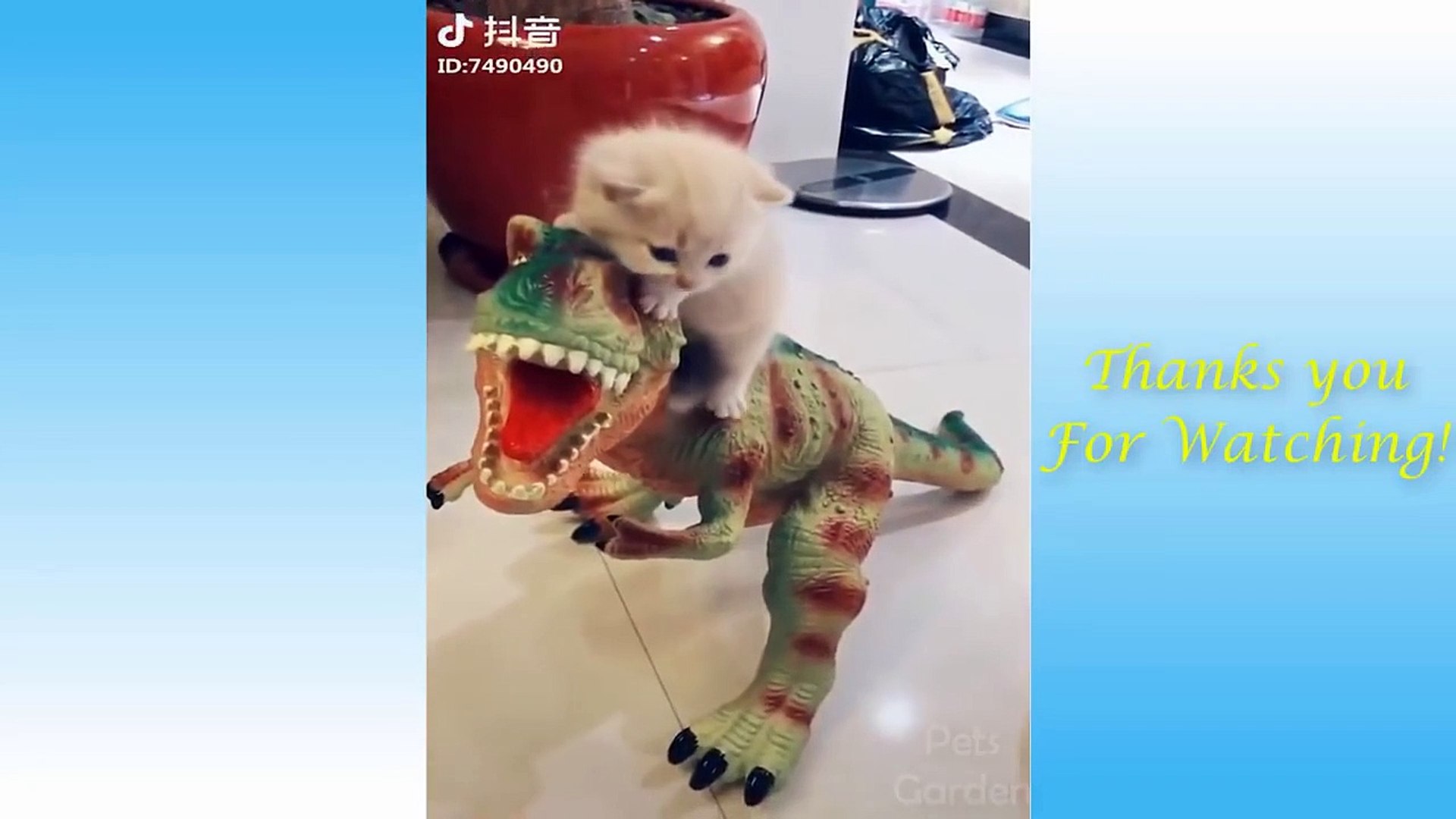 Cute Pets And Funny Animals Compilation