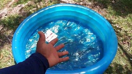 RESCUING TURTLES from Busy Streets!!!