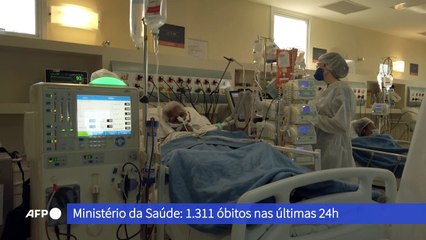 Números da pandemia
