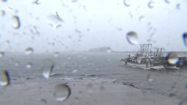 [날씨] 장마 막바지에 폭우...내주 또 게릴라 호우 / YTN