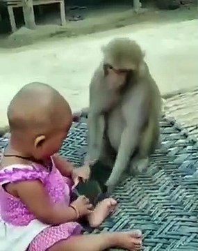 Monkey snatches mobile from child | THE EXPOSE EXPRESS