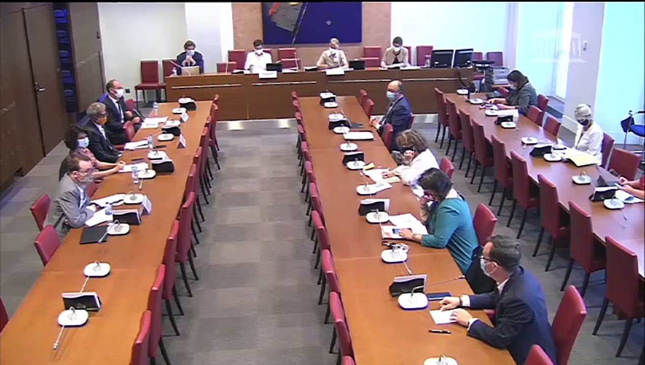 Emergence et évolution des différentes formes de racisme : Auditions diverses - Jeudi 23 juillet 2020