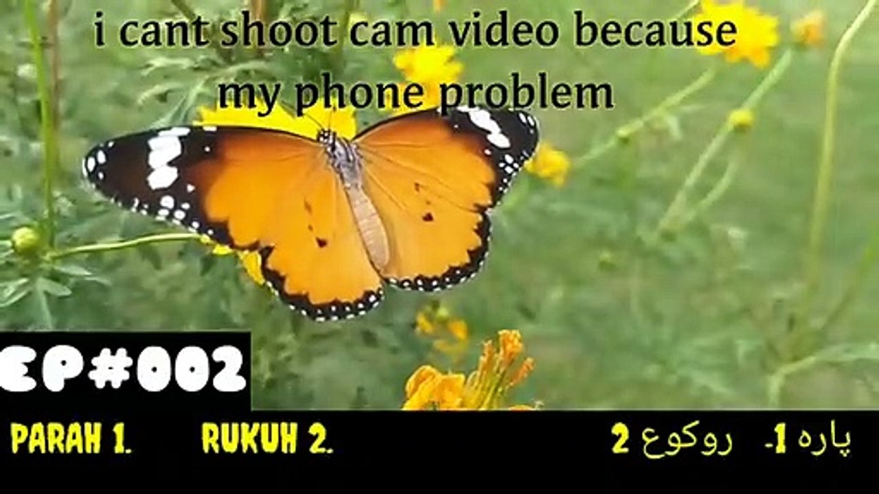 surah bakhra rukuh 3