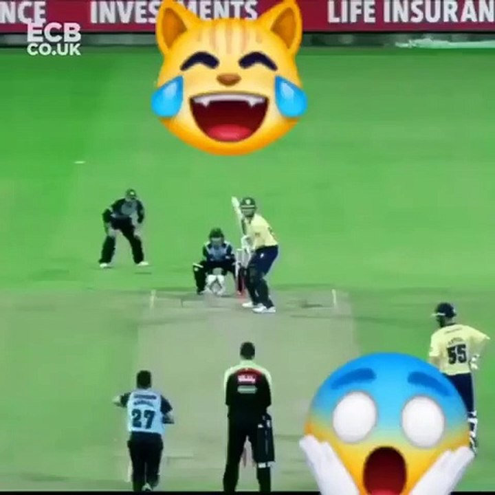 Cricket is a sport which is played between two teams of eleven players each who score runs (points). This is done by hitting the ball across the boundary, or by running between two sets of three small, wooden posts called wickets.