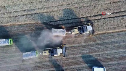 Türkiye’nin sertifikalı tohumları Muş’tan