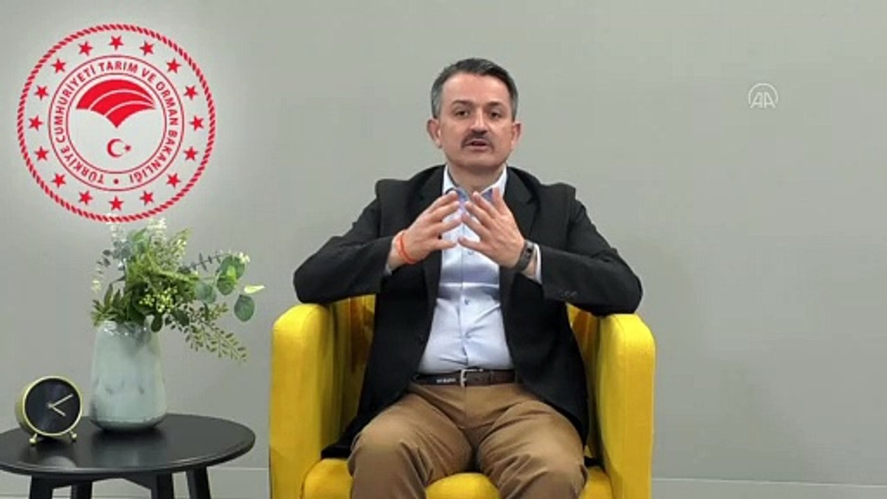 Pakdemirli: 'Kurban Bayramı öncesi 10 kalemde, 358 milyon 204 bin liralık destek bugün çiftçilerin hesaplarına yatırılacak' - ANKARA
