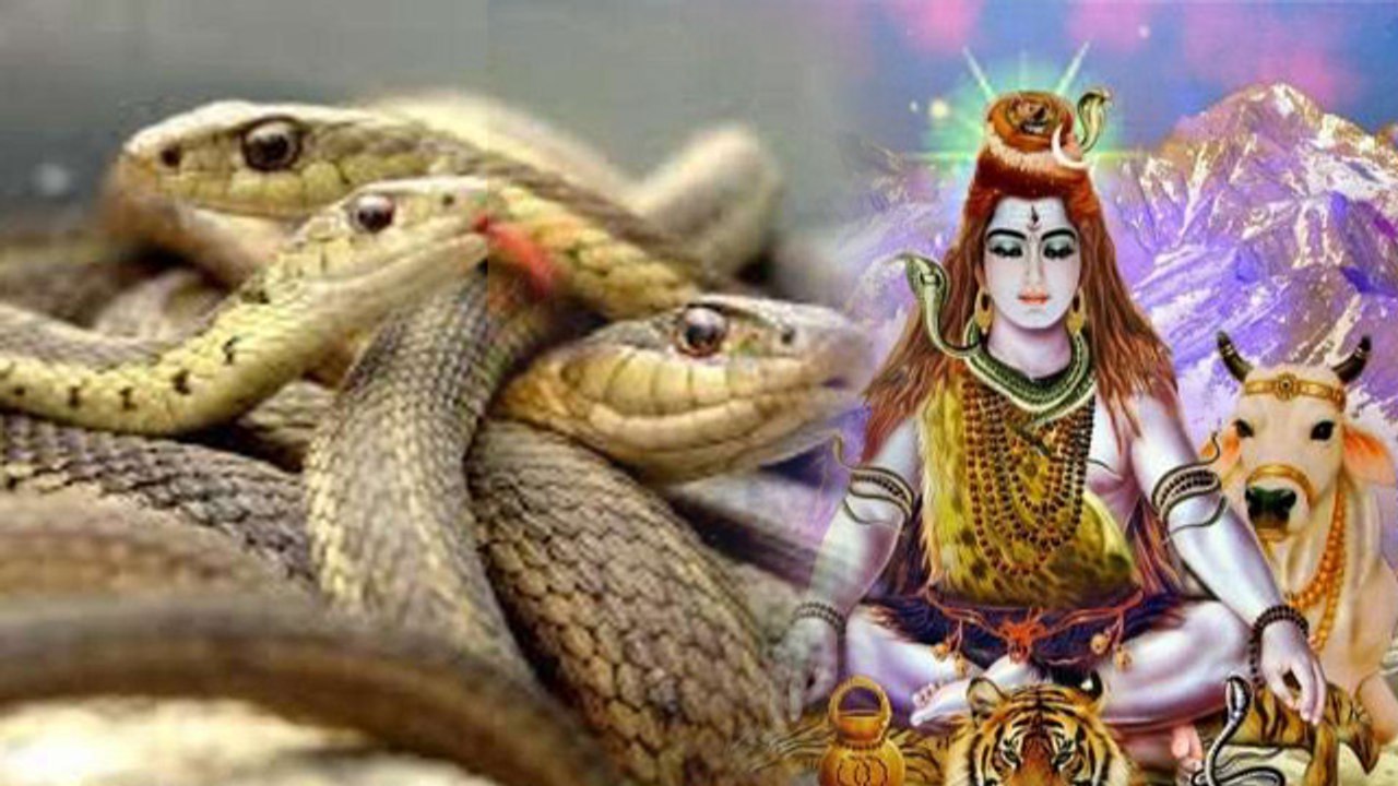 Nag Panchami 2020: नाग पंचमी वाले दिन जरूर करें इन 12 नागों का स्मरण, दूर होंगे सभी दोष | Boldsky