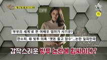 [예고] 배우 한소희, 모친 채무 논란에 휩싸이다? 빚투 의혹의 전말