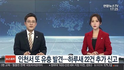 인천서 또 유충 발견…하루새 22건 추가 신고