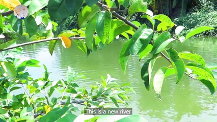 Going fishing is tough, but we don't give up. And the end result is very good