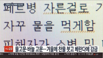 '악마보다 잔인'…20대 '엽기 커플' 인신매매까지 시도