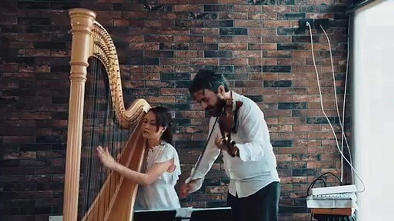 Arpa e violino - Autumn leaves