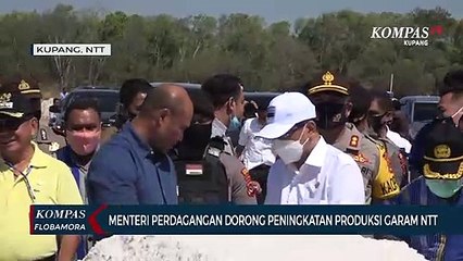 Menteri Perdagangan Dorong Peningkatan Industri Garam di NTT