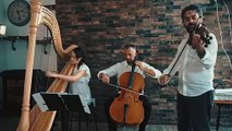 Gabriel's oboe - Ennio Morricone Arpa, Violino & Violoncello