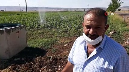 Yarım asır sonra suya kavuştular