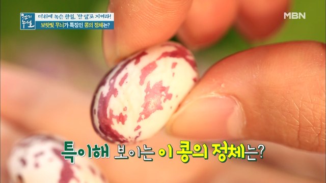 관절 건강 3요소를 갖춘 콩의 정체는!?