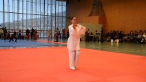 Xinjia Yi Lu of Chen | Taijiquan by Laura Bonthuis | Internal Martial Arts