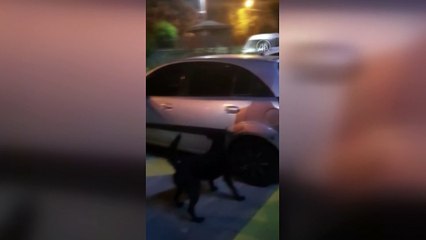 Uyuşturucu operasyonunda yabancı uyruklu bir zanlı tutuklandı - YALOVA