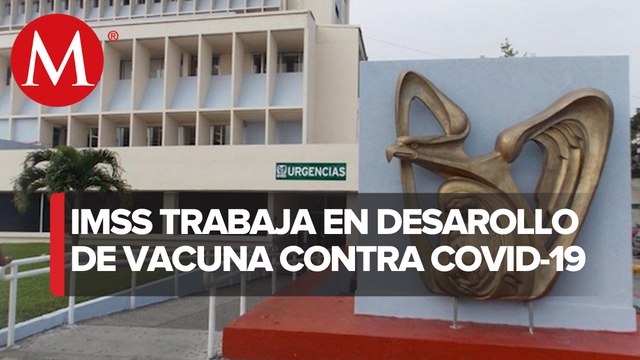 Investigadores del IMSS participan en propuestas para desarrollar vacuna covid-19