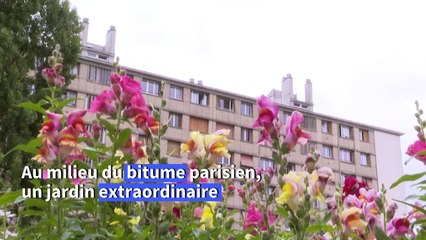 En plein Paris, une Franco-Japonaise pionnière du renouveau de la fleur française