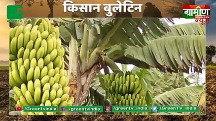 Kisan Bulletin : युवाओं को हर महीने होगा 10 हजार रूपये का मुनाफा, 2 K Retail Outlet खुलेंगे Haryana : Grameen News