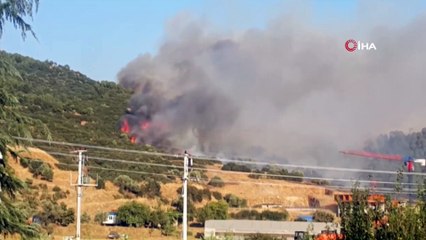 İzmir’deki korkutan orman yangını kontrol altına alındı