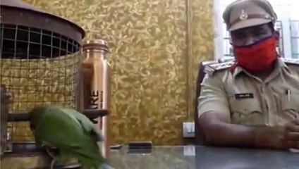 Fight over parrot's ownership, families reach police station