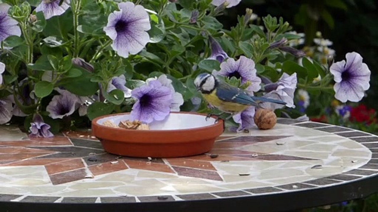 Nature Beauty Part 1