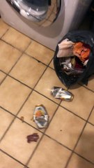 Boxer Knows He's Made a Mistake