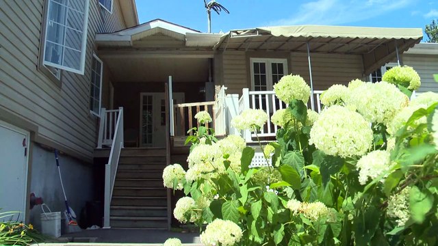 Foyers de soins : Les visites élargies au Nouveau-Brunswick sourient aux résidents