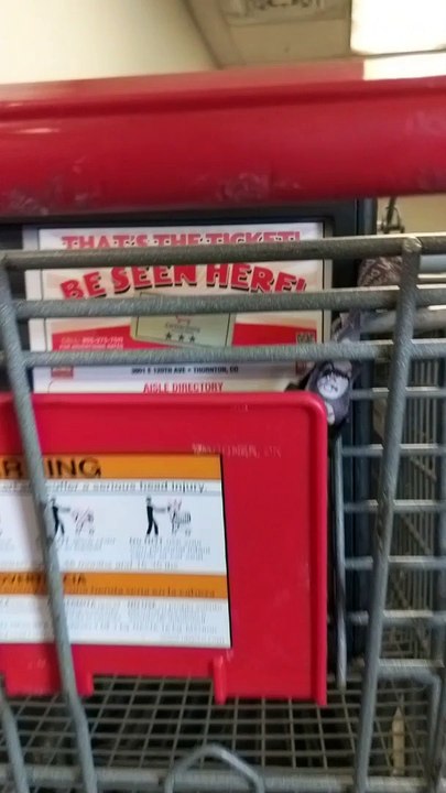 Law Of The Land, Takin' A Stand (Grocery/Thornton, CO) (LL4)