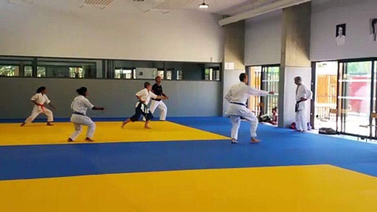 Entraînements estivaux de Karaté-Do Shotokai (É...