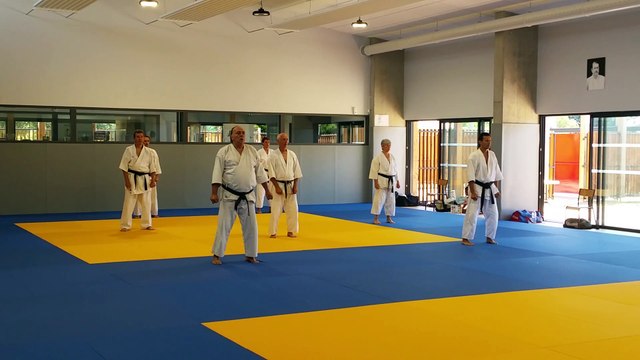 Entraînements estivaux de Karaté-Do Shotokai (École Mushinkai) - Juillet 2020 | Kata Heian shodan (2)