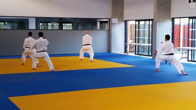 Entraînements estivaux de Karaté-Do Shotokai (École Mushinkai) - Juillet 2020 | Kata Hangetsu