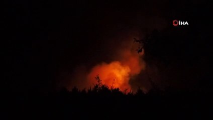 Edirne'deki orman yangını tamamen kontrol altına alındı