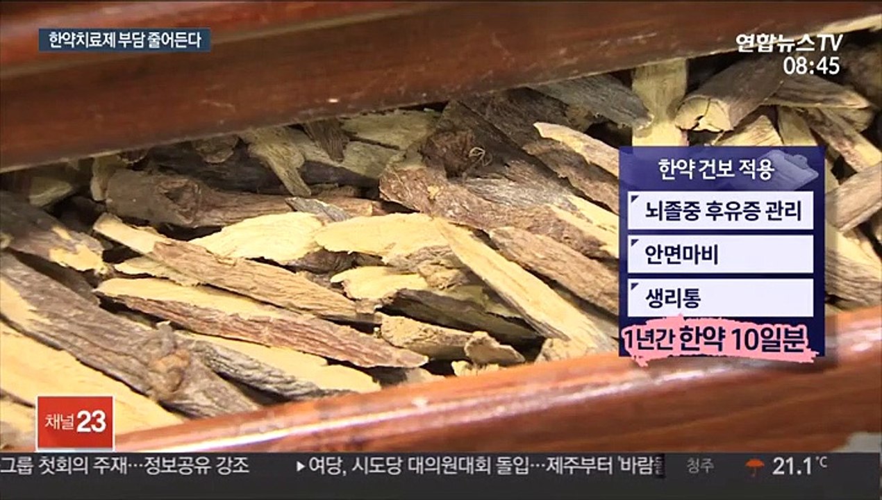 한약도 건보 적용 결론…10월부터 시범사업 착수