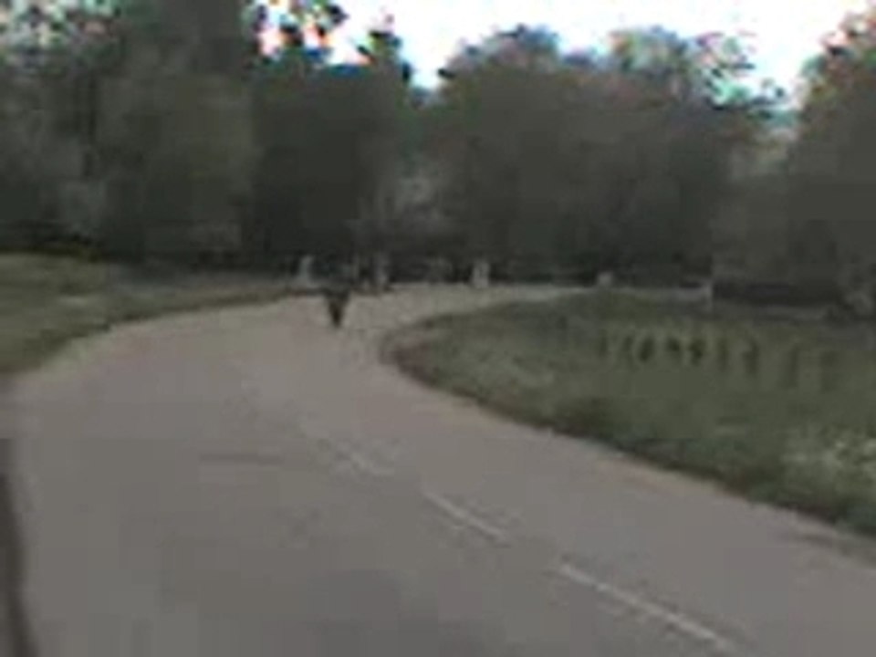 Nitro full pro race