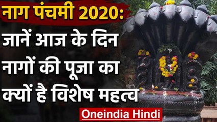 Nag Panchami 2020: जानिए पूजा का शुभ मुहूर्त और नागों को पूजने का कारण ? वनइंडिया हिंदी