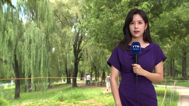 [날씨] 내륙 곳곳 약한 비...영동 집중호우 유의 / YTN