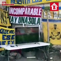 Si esto no es amar a un equipo, dime que es...