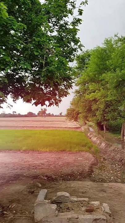 Nature beauty