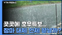 광주·대전에 호우경보...내일까지 국지성 호우 / YTN